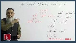 03-Lecture  Part-B (Lisan-ul-Quran-2022) By Amir Sohail ( واحد،مثنیٰ،جمع۔جمع مکسر)عدد