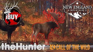 GREAT ONE MOOSE GRIND SETUP for NEW ENGLAND! | theHunter: Call of the Wild