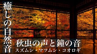 脳疲労回復　心を落ち着かせる優しき秋虫と鐘の音色　ASMR