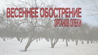 ВЕСЕННЕЕ ОБОСТРЕНИЕ органов опеки