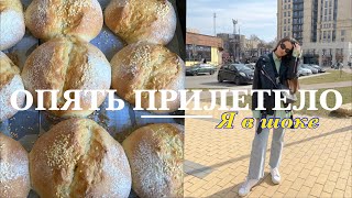 VLOG | ПЕЧЁМ ХЛЕБ | ВЫБИРАЮ СУМКУ