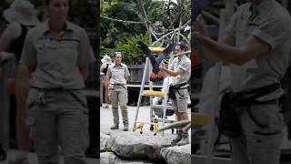 Routine training an endangered black-cockatoo by zookeepers.