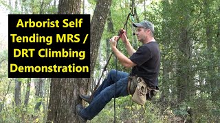 Arborist Self Tending MRS/DRT Climbing Demonstration