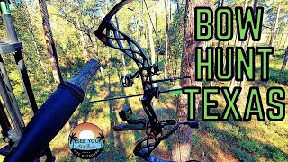 BOW HUNTING Public Land in East Texas video (I can't believe this happened)