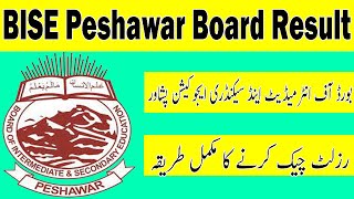 BISEP Supply Result 2022 Peshawar Board Matric & Inter