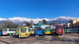 after snowfall this view of Palampur bus stand ❤️ कितना सुंदर नजारा हैं | Bus Wale Bhaiya