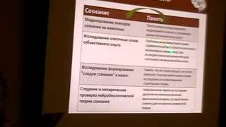 Наука о мозге. Что такое сознание и память - нейро-биологические основы субъективного опыта