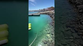 stingrays fuerteventura