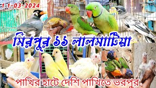 ১১ নাম্বার পাখির হাটে দেশি পাখিতে ভরপুর | mirpur 11 lalmatiya pakhir hat | কথা বলা ময়না টিয়া চন্দনা