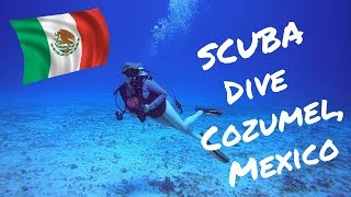 Diving Cozumel 2018