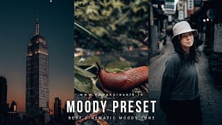 How do I create a moody preset in Lightroom? Free Lightroom Mobile presets download #438