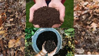 How to make high quality leaf compost with easy method//leaf compost with 4 special leves