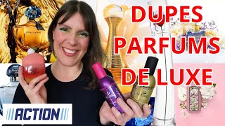 8 NOUVEAUX PARFUMS ACTION DANS MA COLLECTION : Encore des dupes de parfums de luxe !