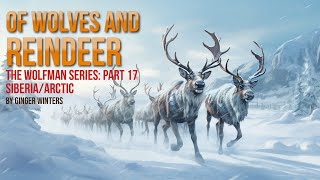 OF WOLVES AND REINDEER: Part 17 of the Wolfman Series