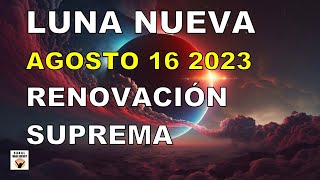 LUNA NUEVA 16 AGOSTO 2023 ENERGÍA SUPREMA RENOVACIÓN COLECTIVA Astrología Numerología Luna en Leo