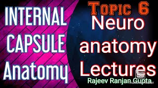 #7 INTERNAL CAPSULE  , NEUROANATOMY , ANATOMY LECTURES