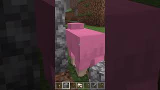 #Minecraft I found pink sheep#rare #pinksheep