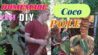 how to make coco pole for philodendron climbing type