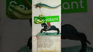 Le cerf-volant cache un serpent volant ! 🐍🪁  #histoire #culturegenerale #étymologie