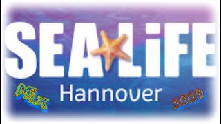 Zum ersten Mal Sea Life Hannover 2024 Mix