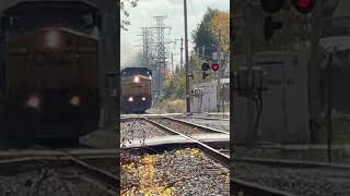 Mailman ignores signals to beat oncoming train.