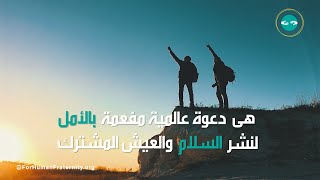 المبادئ المختصرة لوثيقة الأخوة الإنسانية