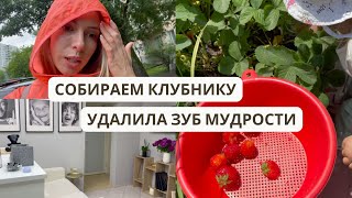 УДАЛИЛА ЗУБ мудрости...БОЛЬНО?! ДОРОГО?! | ЛАМИНАТОР | Собираем клубнику || ВЛОГ