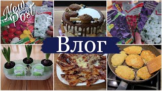 🤩 СУПЕР ОРГАНАЙЗЕР *КОЛДУНЫ с КУРИЦЕЙ * СЫР в ТЕСТЕ ФИЛО * САЖАЮ ГИАЦИНТЫ *МОТИВАЦИЯ на УЮТ