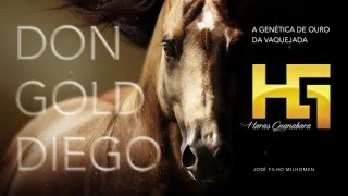 Haras Guanabara - VT 15" apresentando o Don Gold Diego