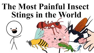 The Most Painful Insect Stings in the World