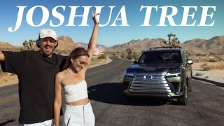 USA Road Trip - Joshua Tree (sleeping in an Airstream)