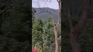 Aaha😍😍Nepal#travel #newsong #viralvideo #shortsvideo #nature