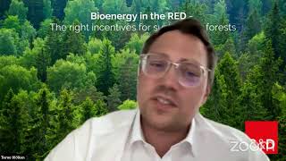 Bioenergy in the RED – How to incentivise making our forests sustainable?