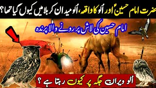 Hazrat Imam Hussain  ullu Ka waqia | اُلو کا کربلا کے واقعہ سے کیا تعلق ہے#myislameveryday#trending