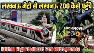 How to reach Lucknow Zoo by Metro || Krishna Nagar Metro Station to Hazrat Garh