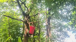 Tree Climbing Skills #2