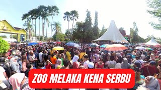 TAHUN MELAWAT MELAKA 2024 | ZOO MELAKA KENA SERBU