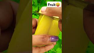 Organic Fruit Farming 🍊🍓🍎🥝🍋 #shorts #fruitfarming #fruitcutting #starfruit #organic   @Food-home14G