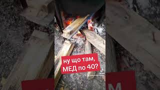 Ну що там, МЕД по 40?#моя_пасіка #бджільництво #мед #bee #honey #mitla #ukraine