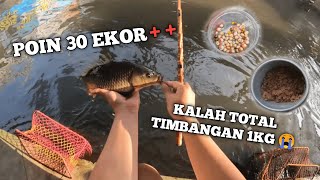 POIN 30 EKOR MASIH BELUM TOTAL ?!