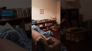 Covid-19 Lockdown as an Australian Backpacker (88days Farm Work)