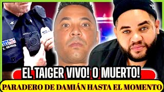 DONDE PUDIERA ESTAR DAMIAN , EL TAIGER PUDIERA ESTAR VIVO