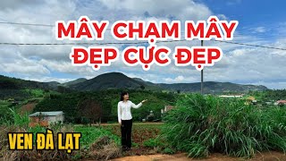 Đất ven Đà Lạt| Trên đỉnh đồi cao nhất, lại có mảnh đất đẹp nhất| Gió mát lồng lộng! 20x30 quá đẹp!