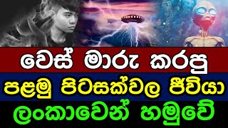 වෙස්මාරු කරපු පළමු, පිටසක්වල ජීවියා ලංකාවෙන් හමුවේ | Aliens Living Among Humans in sri lanka