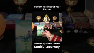 Current Feelings Of Your Partner | Hindi Tarot #currentfeelings #shorts