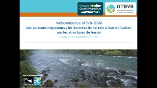 Webconférence ATBVB BGM Les poissons migrateurs en Bretagne – données disponibles et outils