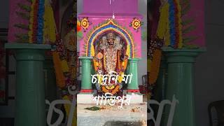 শান্তিপুরের চাঁদুনি মায়েরা 🙏🏻🌸🙏🏻|| #ytshorts_ #kalipujo2024