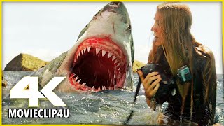 The Shallows (2016) - Great White Shark Attack - 32 Seconds | MᴏᴠɪᴇCʟɪᴘ4ᴜ -〚HD〛