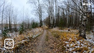 Пешая прогулка вдоль Финского залива / Walking along the Gulf of Finland