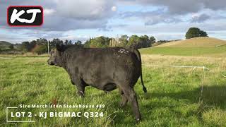 LOT 2 KAYJAY BIGMAC Q324